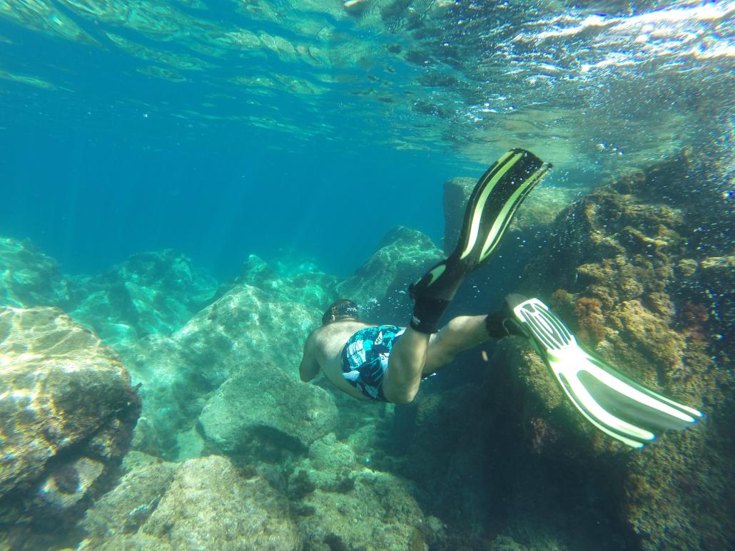swim arrabida tour