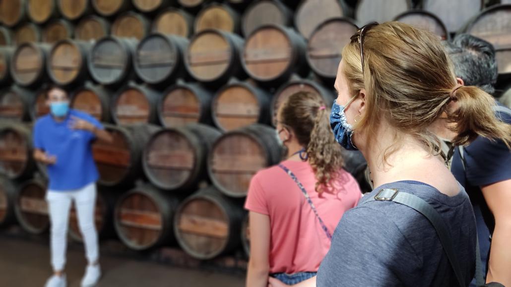 wine tasting setubal