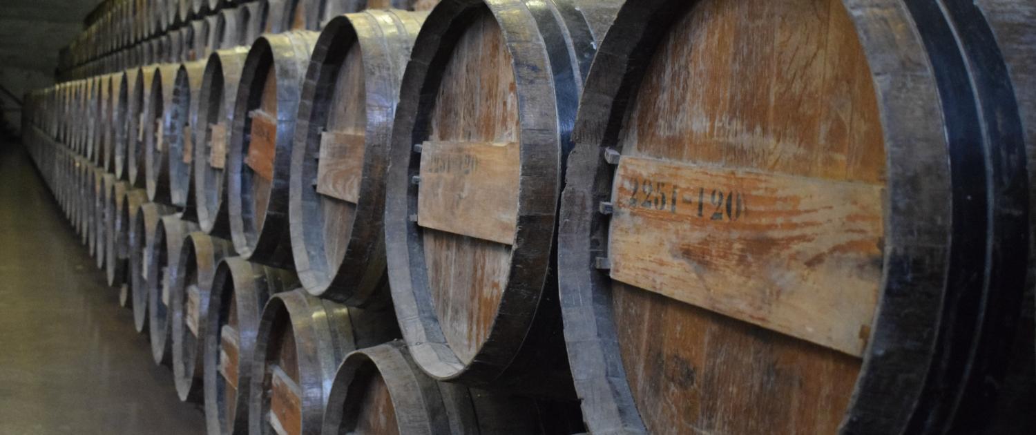 wineries tours lisbon setubal